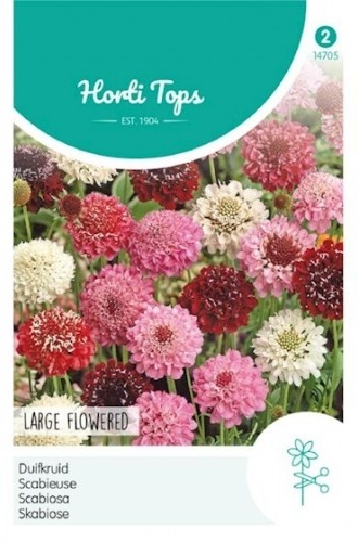 Scabiosa atropurpurea Grandiflora Mix cca 0,6 g